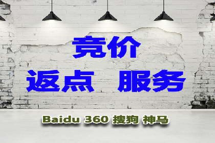 探索专业SEM托管的未来趋势与成功案例